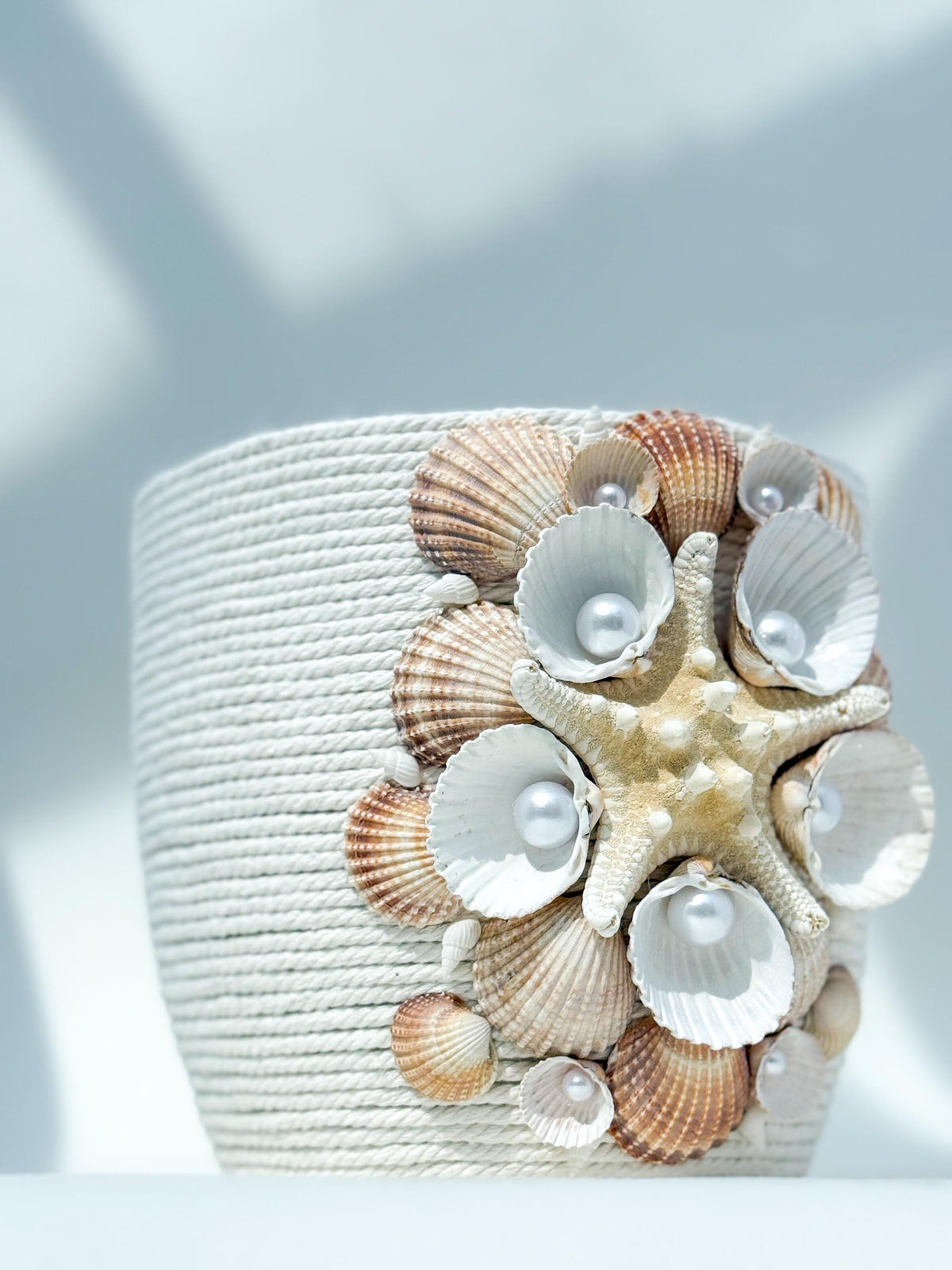 Magnolia Beige Cotton Seashell Plant Pot — view 3