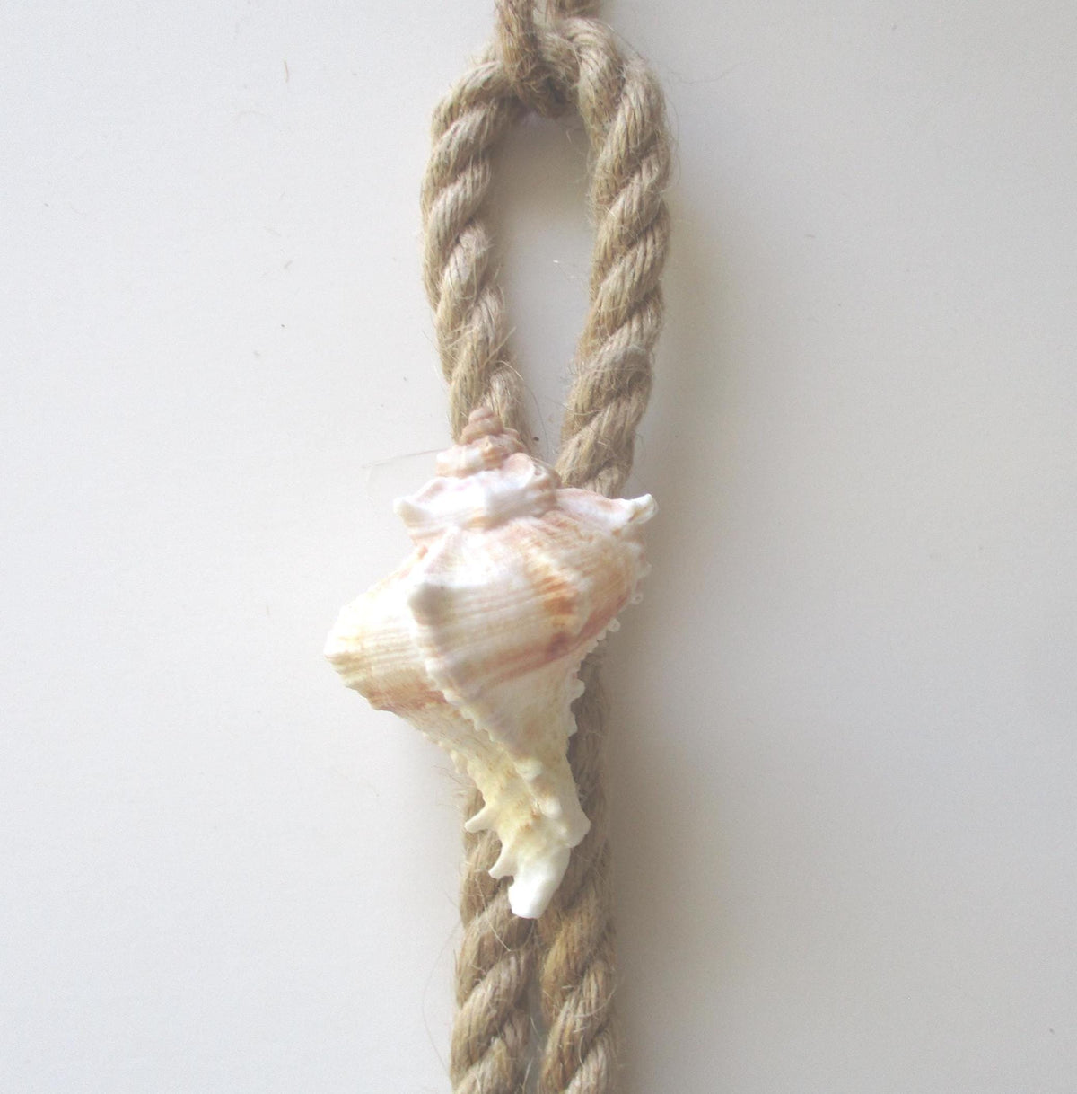 Cobia Beige Rope Starfish Wall Hanging — view 4